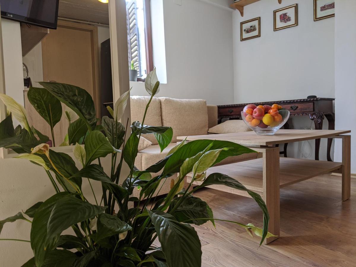 Twin-Magnolias Condo With Garden, Parking & Ev Station 萨格勒布 外观 照片