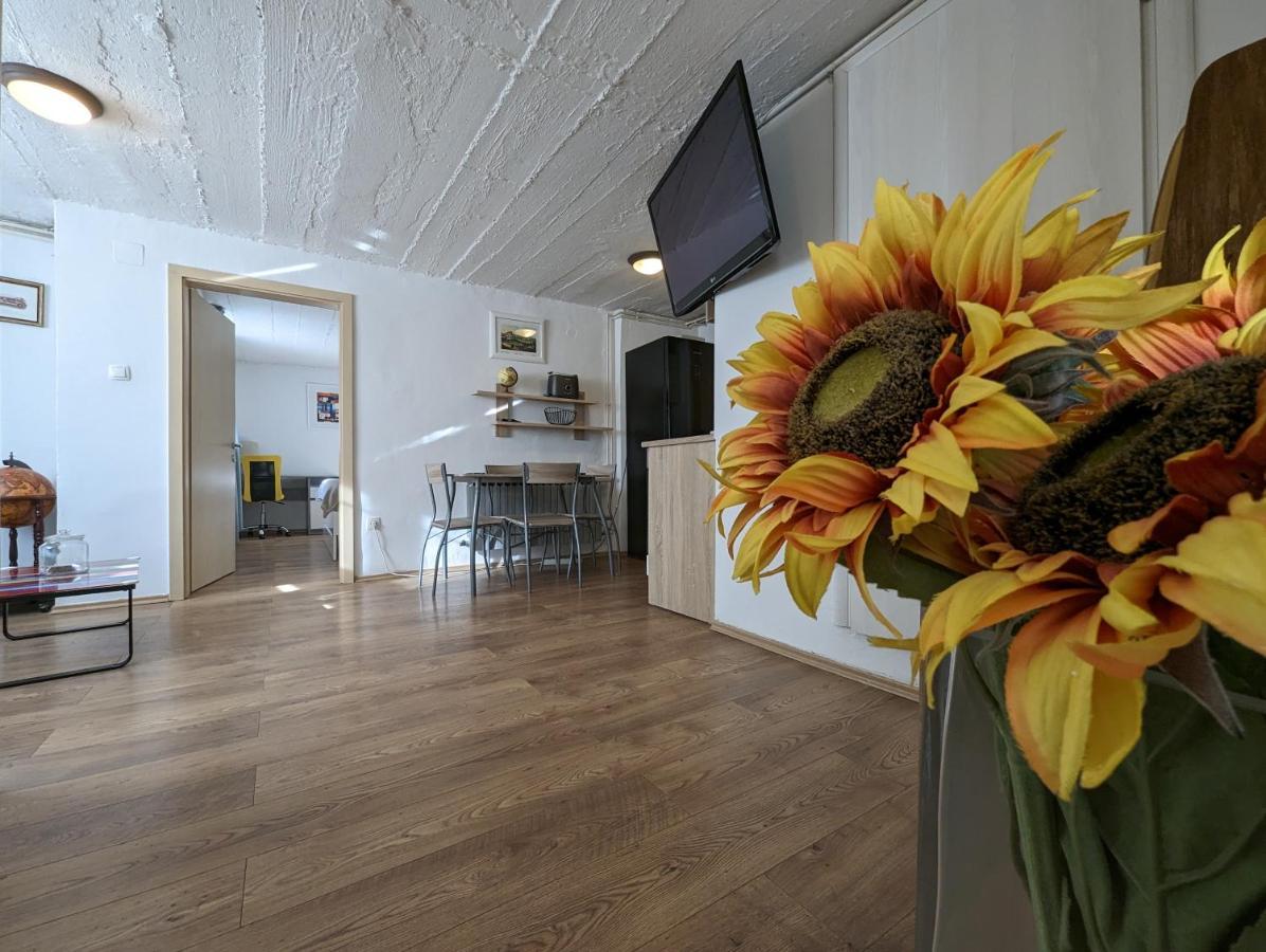 Twin-Magnolias Condo With Garden, Parking & Ev Station 萨格勒布 外观 照片